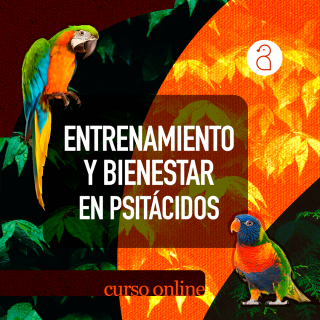 Curso Online Entrenamiento y Bienestar en Psitácidos