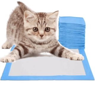 Tapete absorbente x und