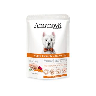 AMANOVA CACHORRO EXQUISITE POLLO (VENTA SOLO EN TIENDA)