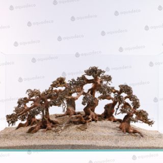 BONSAI WOOD M. PIEZA.