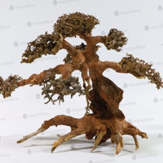 BONSAI WOOD L. PIEZA.