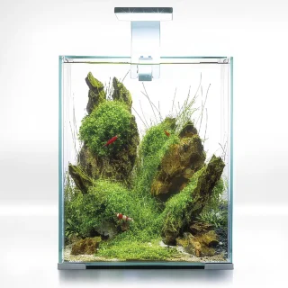 Aquael Acuario Completo Shrimp Blanco D&N 20