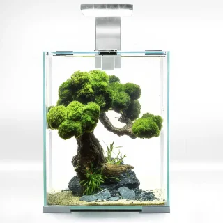 Aquael Acuario Completo Shrimp Blanco D&N 10