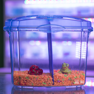 Bettera Acrílica PA230 A full kit