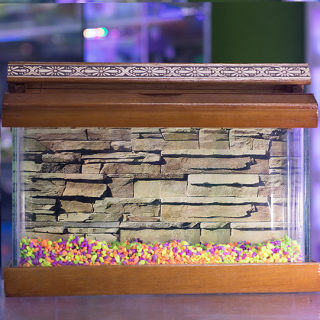 Bettera Madera Larga Full Kit