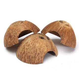 COCO NATURAL DECORACION MEDIO