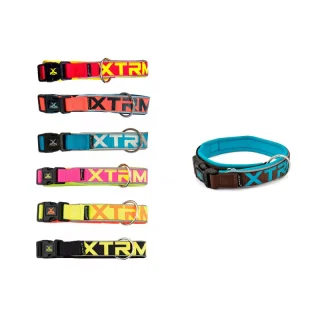 X-TRM COLLAR NEON FLASH