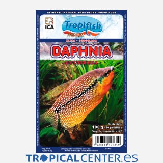 Daphnia 100gr