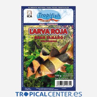 Larva roja de mosquitos grande 100gr