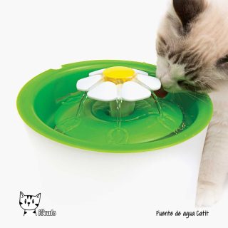 Fuente De Agua Flor Para Gatos Marca Catit 3L