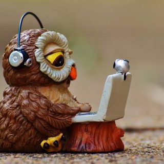 ONLINE: Consulta de Etología Veterinaria a distancia