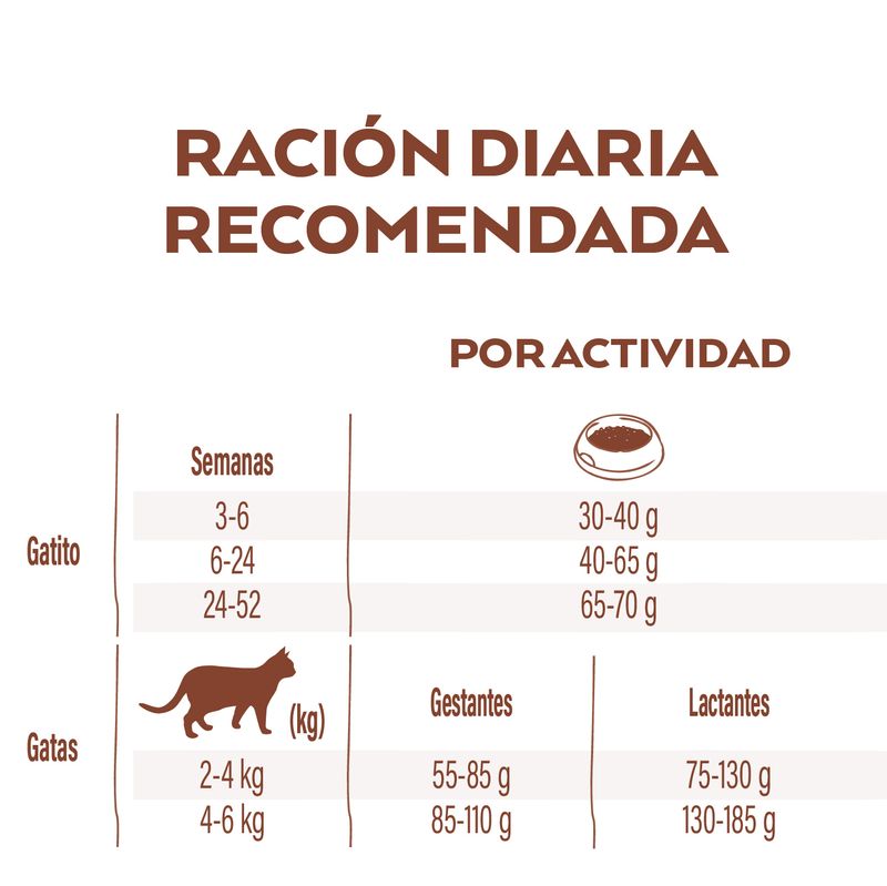 NATURES VARIETY KITTEN - Imagen 3