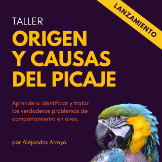 Taller Online: Origen y causas del picaje en loros