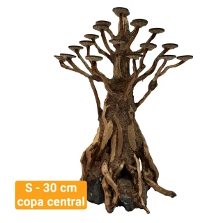 Bonsai Kyoto S 30 cm copa central