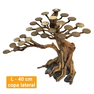 Bonsai Kyoto L 40 cm copa lateral