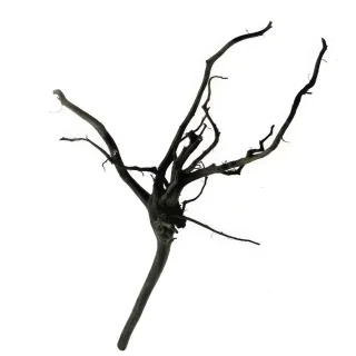 Rasamala Wood Black M