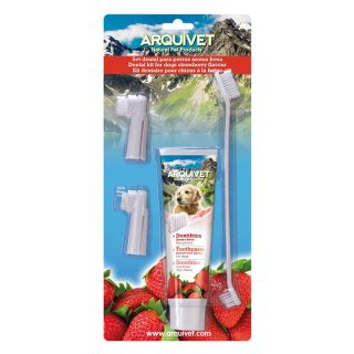 ARQUIVET SET DENTAL PARA PERROS AROMA FRESA