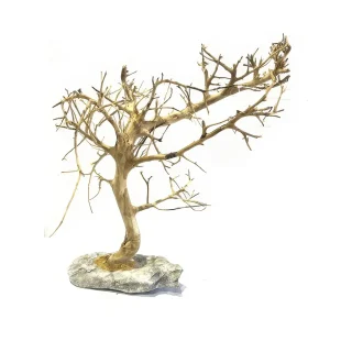 Small Tree Compact L
