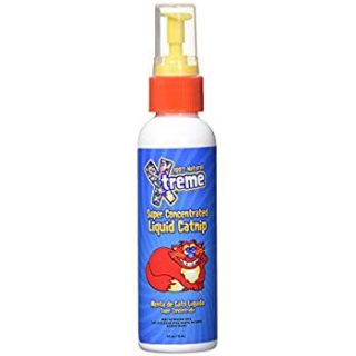 Catnip en spray (4oz).