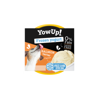 YOWUP! YOGURT HELADO SALMÓN TARTAR